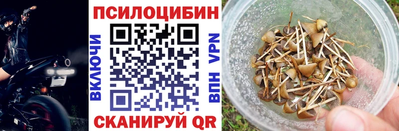 купить наркотики цена  Люберцы  Псилоцибиновые грибы MAGIC MUSHROOMS 