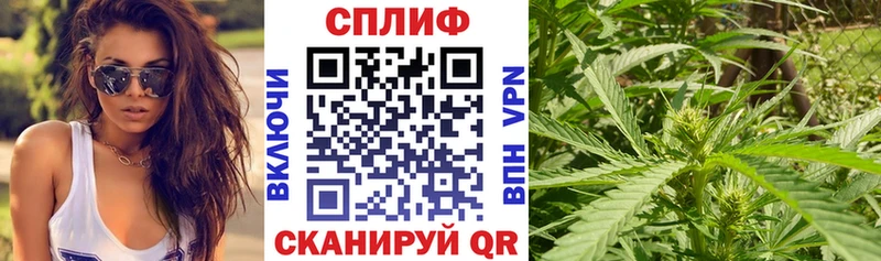 Бошки Шишки планчик Люберцы
